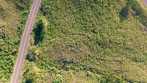 Highway-road-and-green-nature-of-Hawaii-island,-aerial-drone-view