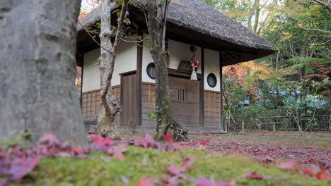 Part-of-a-Shinto-temple-in-Tokyo,-the-garden-is-designed-in-detail-so-that-in-autumn-it-highlights-the-color-of-the-moss-and-maple-leaves