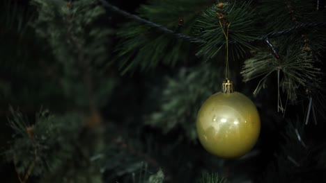 Dekorieren-Mit-Weihnachtsschmuck,-Natürlicher,-Immergrüner-Fichtenbaum
