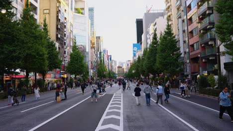 Japan-street-slow-motion-pan-shot-establishing-Akihabara-in-late-afternoon