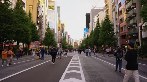 Slow-motion-tilt,-people-walk-through-streets-of-Akihabara-in-Late-afternoon