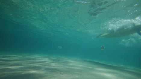 Surfer,-Der-In-Kristallklarem-Wasser-In-Byron-Bay,-Australien,-Auf-Eine-Welle-Paddelt,-Aufgenommen-Aus-Dem-Wasser-In-Zeitlupe