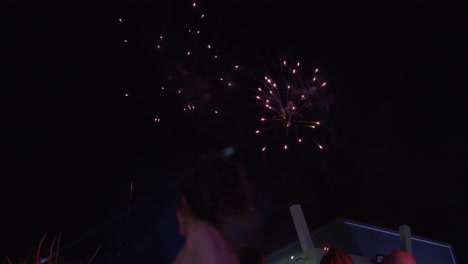 People-enjoying-the-fireworks-explode-in-the-sky-on-a-business-event