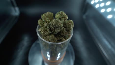 Eine-Detaillierte-Nahaufnahme-Einer-Cannabispflanze,-Einer-Marihuanablüte,-Hybridsorten,-Indica-Und-Sativa,-Auf-Einem-Um-360-Grad-Drehbaren-Ständer-In-Einem-Glänzenden-Glas,-120-Fps-Zeitlupe-In-Full-HD,-Filmische-Aufnahme-Von-Oben