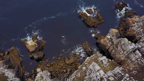 Flying-above-the-rocky-cliffside-towards-the-sea