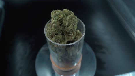Eine-Nahaufnahme-Einer-Detaillierten-Aufnahme-Einer-Cannabispflanze,-Einer-Marihuanablüte,-Hybridsorten,-Indica-Und-Sativa,-Auf-Einem-Um-360-Grad-Drehbaren-Ständer-In-Einem-Glänzenden-Glas,-120-Fps-Zeitlupe-In-Full-HD,-Filmisches-Video-Von-Oben