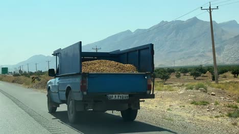 Blauer-Alter-Pickup-Truck,-Der-Trockene-Feigen-Aus-Dem-Traditionellen-Bio-Landwirtschaftsgarten-Transportiert,-Köstliche,-Süße,-Trockene-Früchte,-Regengespeistes-Regenwasser,-Historisches-Bewässerungssystemprodukt,-Zum-Lokalen-Bauernmarkt-Im-Iran