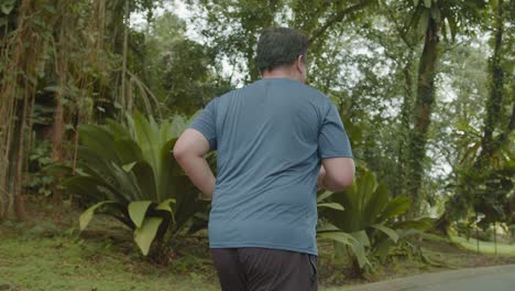 A-fat-Asian-Malay-man-jogging-for-his-health-at-the-lake-garden,-low-angle-backshot