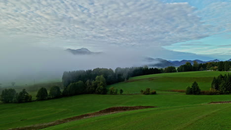 Nebel-Zieht-Bei-Tageslicht-über-Eine-Wiese-In-Österreich