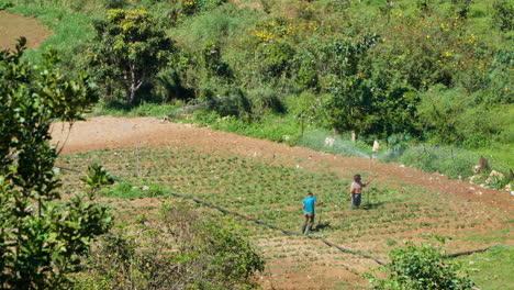 Vietnamese-Farmers-Working-on-Agricultural-Field-Sprinkling-Water-on-Plants---High-Angle-Slow-Motion