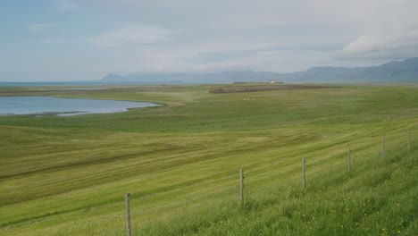 Picturesque-green-Icelandic-farm-field-by-the-sea,-mountains-tower-in-the-distance-under-a-rare-sunny-day