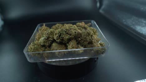 A-close-up-detailed-crane-movement-shot-of-a-cannabis-plant,-marijuana-flower-in-a-clear-plate,-hybrid-strains,-Indica-and-sativa,-120-fps-slow-motion-Full-HD,-studio-lighting