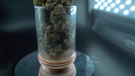 A-detailed-zoom-out-shot-of-a-cannabis-plant,-marijuana-flower,-hybrid-strains,-Indica-and-sativa,-on-a-360-rotating-stand-in-a-shiny-glass,-120-fps-slow-motion-Full-HD,-cinematic-studio-lighting