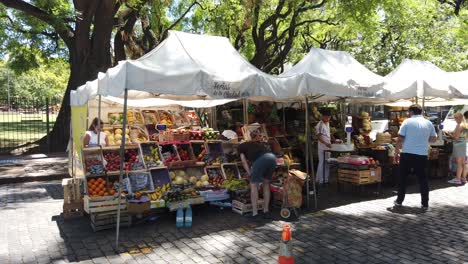 Argentine-People-Buy-Fruits-at-Urban-Park-Market-in-Chacarita,-Tent-Marketplace
