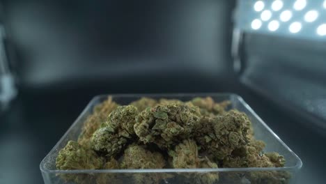 A-close-up-detailed-crane-movement-backwards-shot-of-a-cannabis-plant,-marijuana-flower-in-a-clear-plate,-hybrid-strains,-Indica-and-sativa,-120-fps-slow-motion-Full-HD,-cinematic-studio-lighting