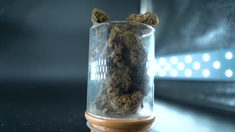 Eine-Detaillierte-Nahaufnahme-Einer-Kranich-Zoomaufnahme-Einer-Cannabispflanze,-Einer-Marihuana-Blüte-In-Einem-Glänzenden-Glas,-Hybridsorten,-Indica-Und-Sativa,-120-Fps-Zeitlupe-In-Full-HD,-Filmische-Studiobeleuchtung