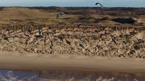 Epic-aerial-tracking-shot-of-4-Dutch-paragliders-soaring-along-dunes,-Castricum