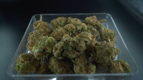 Eine-Nahaufnahme-Einer-Detaillierten-Kran-Zoomaufnahme-Einer-Cannabispflanze,-Einer-Marihuana-Blume-Auf-Einem-Durchsichtigen-Teller,-Hybridsorten,-Indica-Und-Sativa,-120-Fps-Zeitlupe-In-Full-HD,-Filmische-Studiobeleuchtung