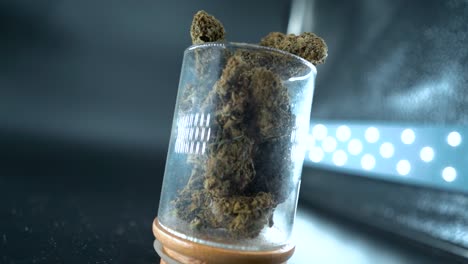 A-close-up-detailed-rotating-zoom-in-gimbal-shot-of-a-cannabis-plant,-marijuana-flower-in-a-shiny-glass,-hybrid-strains,-Indica-and-sativa,-120-fps-slow-motion-Full-HD,-cinematic-studio-lighting