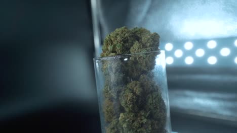 Eine-Detaillierte-Nahaufnahme-Einer-Cannabispflanze,-Einer-Marihuanablüte,-Hybridsorten,-Indica-Und-Sativa,-Auf-Einem-Um-360-Grad-Drehbaren-Ständer-In-Einem-Glänzenden-Glas,-120-Fps-Zeitlupe-In-Full-HD,-Professionelle-Filmische-Studiobeleuchtung