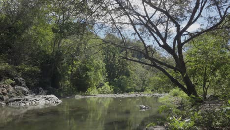 Peaceful-landscape-of-a-river-current,-surrounded-by-large-trees,-during-a-summer-day-in-the-department-of-El-Paraíso-in-southern-Honduras