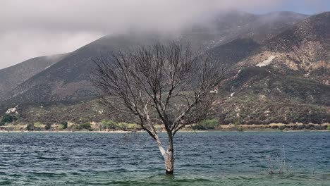 dead-tree-in-the-water-of-bouquet-reservoir-on-a-moody-cloudy-hazy-day-in-southern-california-telephoto-shot-with-a-mountain-background-AERIAL-DOLLY-BACK-60FPS