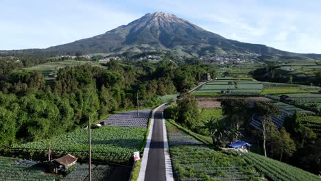 Aerial-view-of-the-road-goes-straight-up-the-mountain-and-is-in-the-middle-of-agricultural-field