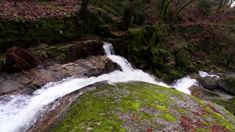 Mossy-forest-rocks-with-flowing-stream-cascade---aerial