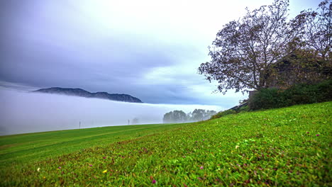 Witness-the-breathtaking-view-featuring-lush-green-grass-adorned-with-soft-white-clouds-and-mist