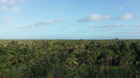 Flying-Above-Palm-Tree-Forest-and-Green-Inland-Landscape-of-Tonga,-Polynesia