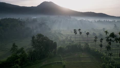 Drone-flying-lush-agricultural-land-with-mist-and-mountain-in-the-background