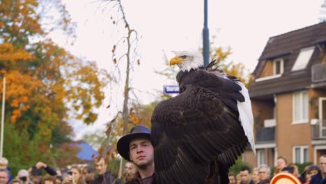 American-Eagle-sits-on-man's-hand-a-crowd-looks-at-the-falconer-with-his-mighty-bird