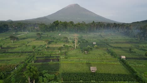 Drone-flying-over-lush-green-farm-land-with-a-volcanic-mountain-in-the-background
