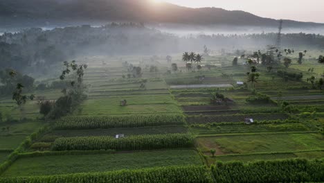 Drone-flying-over-farm-land-in-the-tropics-during-sunrise-with-low-lying-mist