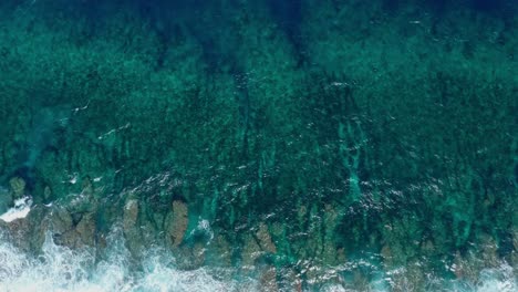 Top-Down-Drone-Shot,-Turquoise-Tropical-Sea-and-Coral-Reefs,-Tonga,-Polynesia