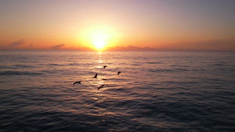 Pelikane-Fliegen-Tief-über-Wellen,-Sonnenaufgangsantenne