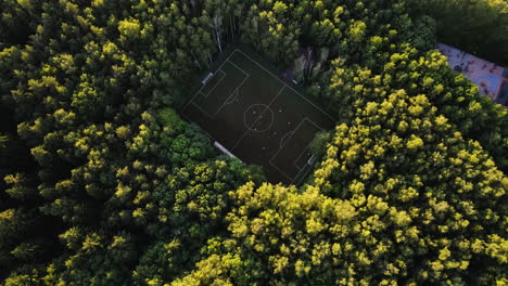 Drone-tilting-over-a-football-field-in-middle-of-sunlit-woods,-summer-golden-hour