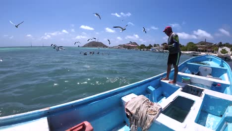 Fisherman-casting-net-from-blue-boat-in-Los-Roques,-clear-sky,-sunny-day