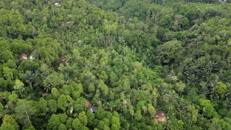 Drohne-Fliegt-über-Ein-Dschungeltal-Mit-Tropischen-Plantagen-Und-Bauernhäusern