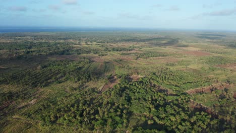 Aerial-View-of-Tonga,-Polynesia,-Green-Landscape,-Farming-Fields,-Palm-Trees-and-Coastline