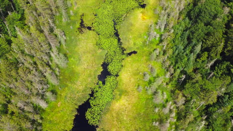 Imágenes-De-Drones-Sobre-Un-Lago-Verde-Pantanoso-Con-Aguas-Reflectantes-En-El-Norte-Del-Estado-De-Nueva-York