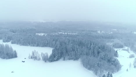 A-stunningly-captured-bird's-eye-shot-showcases-the-beauty-of-nature,-where-the-entire-land-and-trees-are-covered-in-white-fluffy-snow-with-a-gray-sky-and-mist