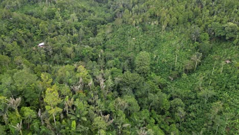 Drone-flying-over-small-farm-buildings-in-a-tropical-jungle-valley