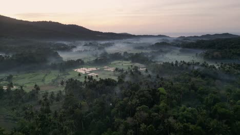 Drone-flying-over-jungle-and-rice-fields-during-sunrise-with-low-lying-mist