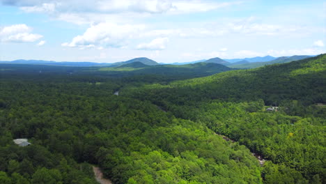 Drone-Footage-of-Vast-Wilderness-and-Carnivorous-Forest-in-Upstate-New-York