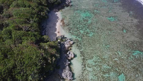 Birdseye-Aerial-View,-Coral-Reefs,-Sandy-Beaches-and-Green-Rainforest-on-Coast-of-Tonga,-Polynesia