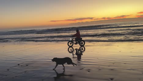 Dog-running-on-beach-beside-an-electric-bike-rider-during-a-beautiful-sunset