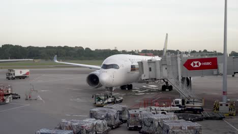 Gepäckabfertiger-Organisieren-Fracht-Für-Wartende-Flugzeuge-Am-Flughafen-Changi