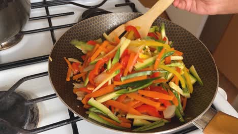 Preparar-Guiso-Con-Diversas-Verduras,-En-Una-Cacerola-Sobre-Una-Estufa-De-Gas,-Cocina-Casera