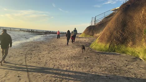 Dog-running-beside-ocean-cliffs-through-people-during-the-magic-hour